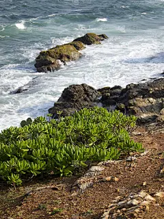 斯里兰卡海岸的美丽风景