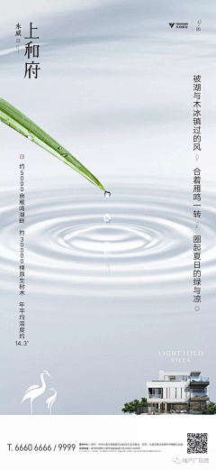 今年九岁采集到D-地产-节气
