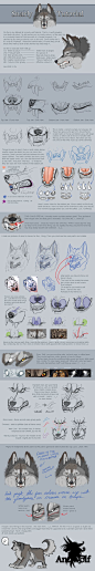 Snarling wolf tutorial by Anuwolf via deviantart.: