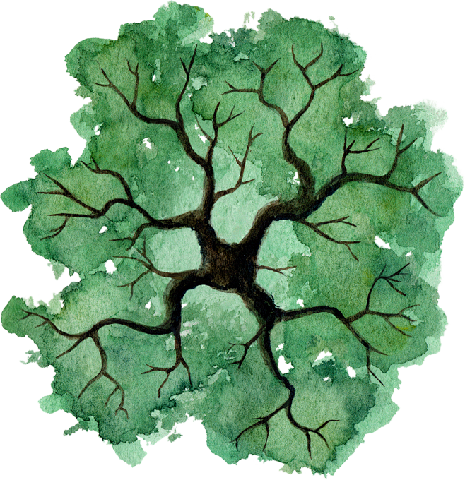 tree-24