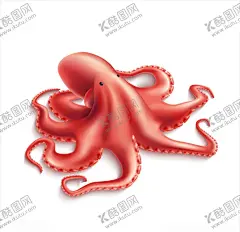 八爪鱼 【酷图网】炒八爪鱼,美味八爪鱼,美味章鱼,章鱼烧,大阪烧,八爪鱼,特色小吃海报,烤章鱼,烤八爪鱼,铁板章鱼,铁板鱿鱼,章鱼,关东煮,小丸子,章鱼美味,日本料理,日本美食,街边小吃,日本小吃,台湾美食,特色章鱼,网红美食,字体设计,毛笔字体,广告喷画,招牌灯箱