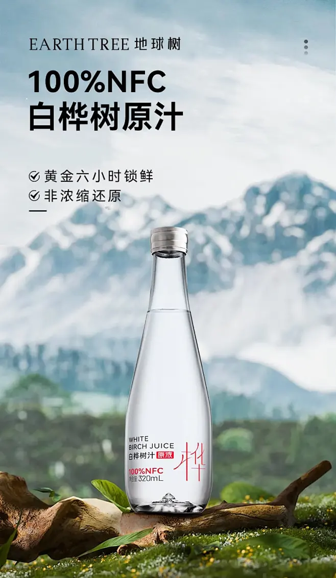 地球树 EARTH TREE【顺丰发货】白桦树汁100%纯天然原液小兴安岭白桦树汁 320ml/瓶 /5箱【图片 价格 品牌 报价】-京东-花瓣网