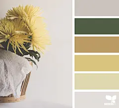 Design Seeds : Your daily dose of inspiration ... for all who love color.