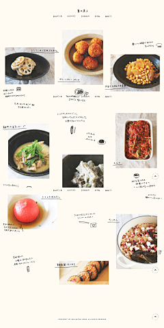 多棱线采集到宠物食品