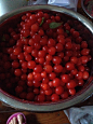 Cranberry小红莓