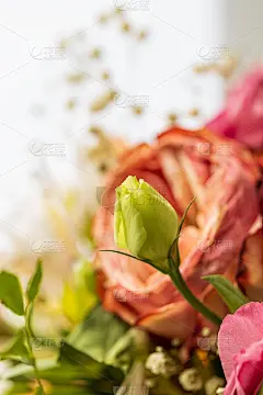 浪漫柔花捧花静物。软的焦点。优雅的贺卡背景。早晨的阳光