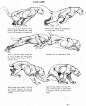 cats ✤ || CHARACTER DESIGN REFERENCES | キャラクターデザイン • Find more at https://facebook.com/CharacterDesignReferences … if you're looking for: #lineart #art #character #design #illustration #expressions #best #animation #drawing #archive #library #reference 