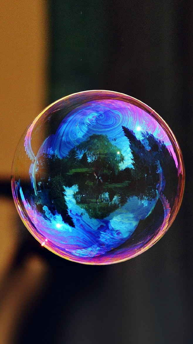泡泡的世界