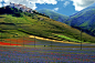 Castelluccio di Norcia, Umbria, Italy