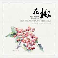 美食香料系列一_小妮子Niz0808__插画师作品_涂鸦王国gracg.com