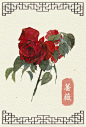 阿昕的自然手绘花绘