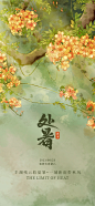 处暑节气海报 