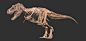 Tyrannosaurus Rex skeleton [SUE / STAN] by. Vitamin Imagination, Vitamin Imagination : Tyrannosaurus Rex skeleton [SUE / STAN] by. Vitamin Imagination