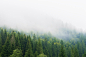 mountain-slopes-forest-hills-morning-fog