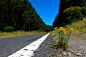 road-2307709