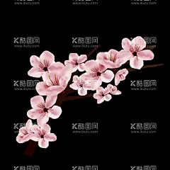 梅花桃花PNG  - 源文件下载【酷图网】梅花桃花PNG,水墨梅花,中国风梅花,清新梅花,腊梅,手绘梅花,桃花,樱花,花卉,梅兰竹菊,花草,海报背景,工艺插画,传统文化,广告设计,PNG免扣素材,