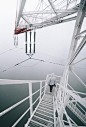 Lattice Climber, megalylon in Germany
