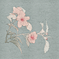 お花素材 2 [5]