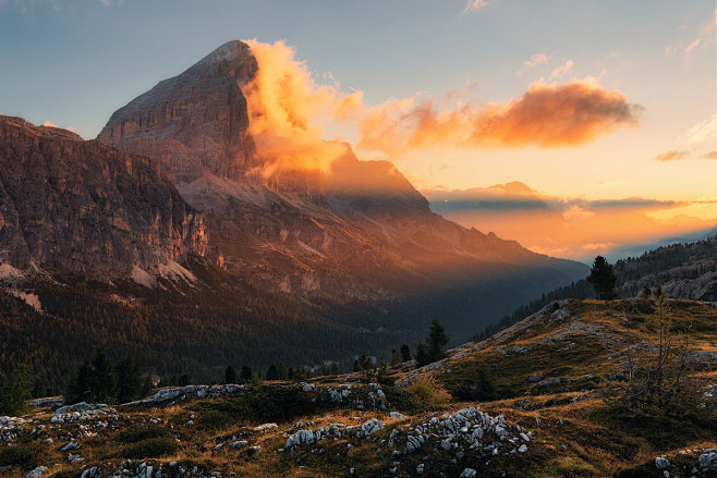 alp impressions X : ...