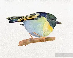 #片刻、宁靜#冇小雨 水彩手绘插画作品展 | 组图_RUI侒婼_言殳言十_新浪轻博客_Qing