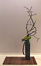 nordiclotus_20150223b