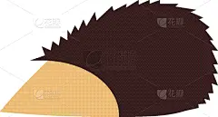 刺猬,平坦的,分离着色,可爱的,白色,宠物,自然,野生动物,图像,哺乳纲