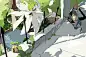 精灵宝可梦  沙奈朵  twi@apios1