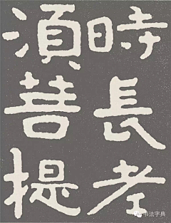 虎丘25采集到草书