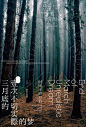typography   展览 排印 活动 海报 版式 物料 文化 艺术 poster