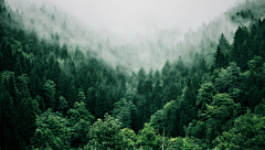 渺颜采集到户外风景