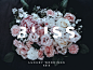 Branding concept and logo for Bliss - Luxury Weddings magazine