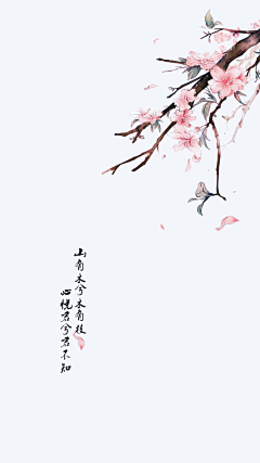叶微澜采集到流年