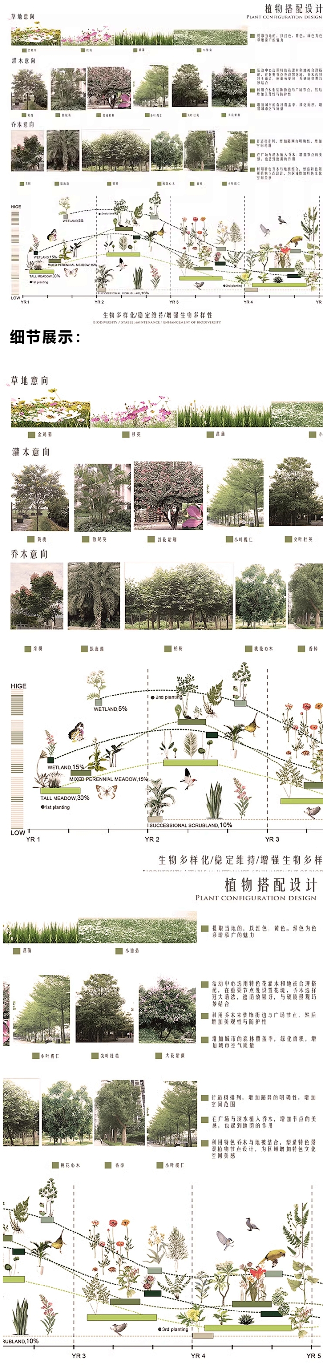 2024景观植物配置分析图psd免扣素材...