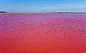 waaaat? | lake in camargue, france, turns blood-red | 灵感