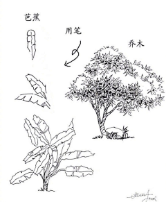 可怜兮兮的南瓜采集到花的画法