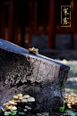 紫禁城岁时
