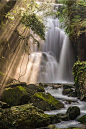 the sun is shining down on a waterfall in the forest with mossy rocks and trees