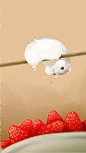 精选可爱动物仓鼠插画小清新手机壁纸 #仓鼠# #宠物#