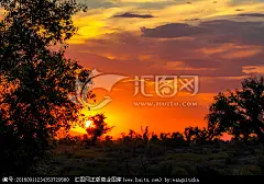胡杨林黄昏 晚霞满天 绚丽多彩 夕阳西下 红通通 傍晚云霞 橘红色天空 五彩缤纷 打翻的颜料 光线现象 彩霞 胡杨树木剪影 新疆乌苏 甘家湖保护区
【参数】 10.4 MB | JPG | 5616×3744 | 240DPI | RGB