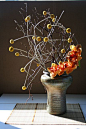 Armature of craspedia and manzanita flower arrangement: 