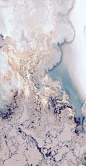 (57) Pinterest