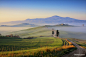 The way to the farmhouse by Agrippino Salerno