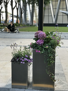 LLLANLAN2019采集到花箱