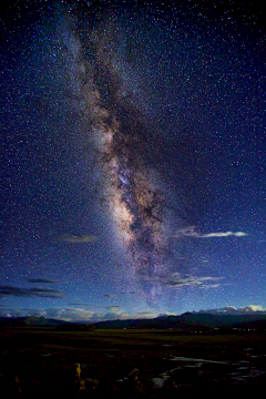 Microlight采集到星空