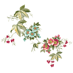 云笛采集到花花草草和小鸟