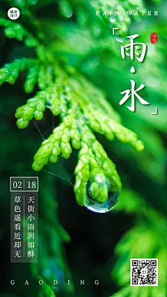 雨水节气清新实景手机海报