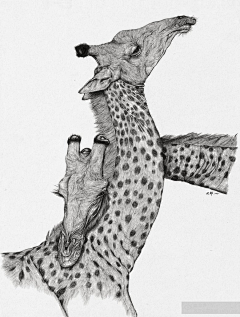 MOleJsq7采集到北邦插画