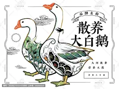 放养大白鹅食品包装鹅肉插画