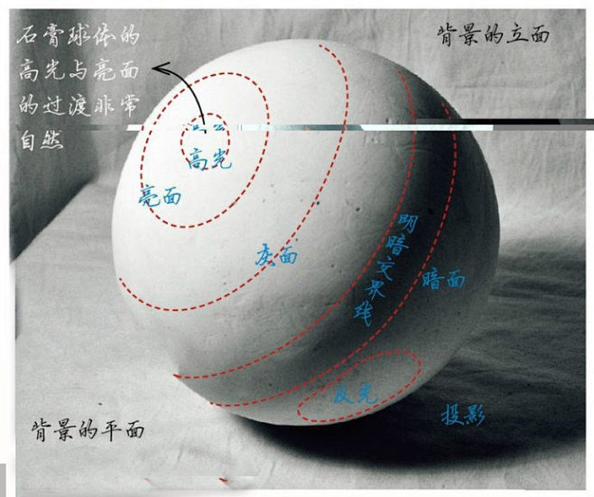 基础教程：几何体静物结构分析