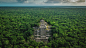 被丛林包围着的玛雅古城卡拉克穆尔遗址，墨西哥坎佩切 (© Alfredo Matus/Shutterstock)